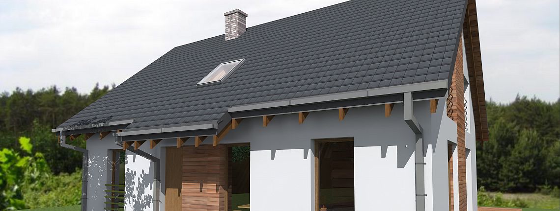 Wizualizacja frontowa.jpg